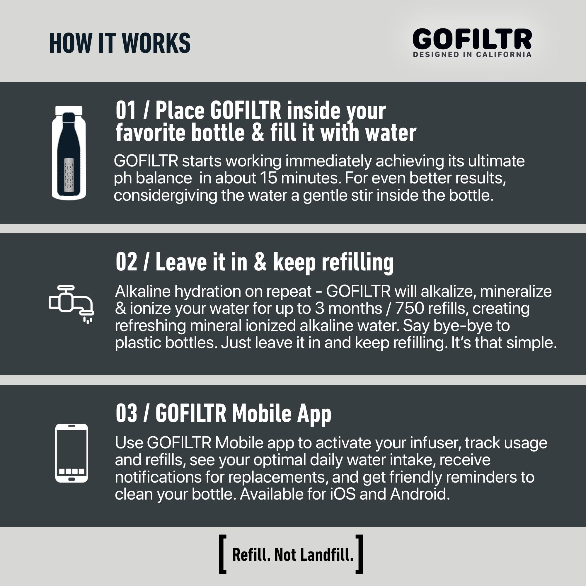 GOFILTR GOFILTR Alkaline Water Infuser (Original 2 Pack) 9.5 pH + Electrolytes for Any Water Bottle/Small Pitcher, 750 Refills / 3 Months, 2 Ionized Mineral Water Infusers