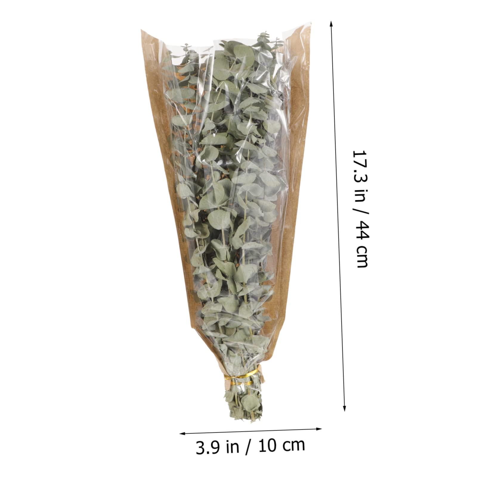 Ciieeo Ciieeo 1 Eucalyptus Shower Plant Real Eucalyptus Branches Dried Lavender Shower Preserved Eucalyptus Stem Lavender Bundles for Shower Dried Eucalyptus Stem Dried Flowers