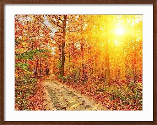 ART.COM ART.COM Framed Wall Art Prints Pathway through the Autumn Forest by sborisov, Scenic Decor, 24\" x 18\", Espresso Frame with White Mat