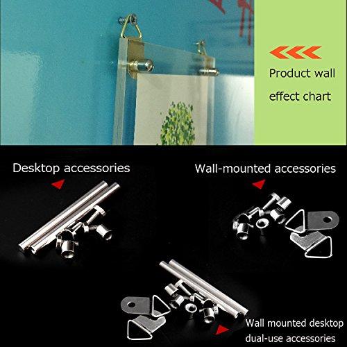 BFRed Acrylic Photo Frame 4x6 inch Brackets Or Hanging Picture Frames,File Certificate Photo Frame Wall Mount Floating and Desktop Photo Frame