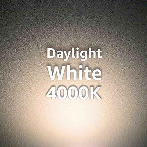 Euri Lighting Euri Lighting DLC4-1040e LED 4" Downlight, Retrofit Line, Bright White 4000K, Dimmable 13W (75W Equivalent) 800 lm 95 Degree Beam Angle, 90+ CRI, E26 Adapter, UL & Energy Star Listed, T24