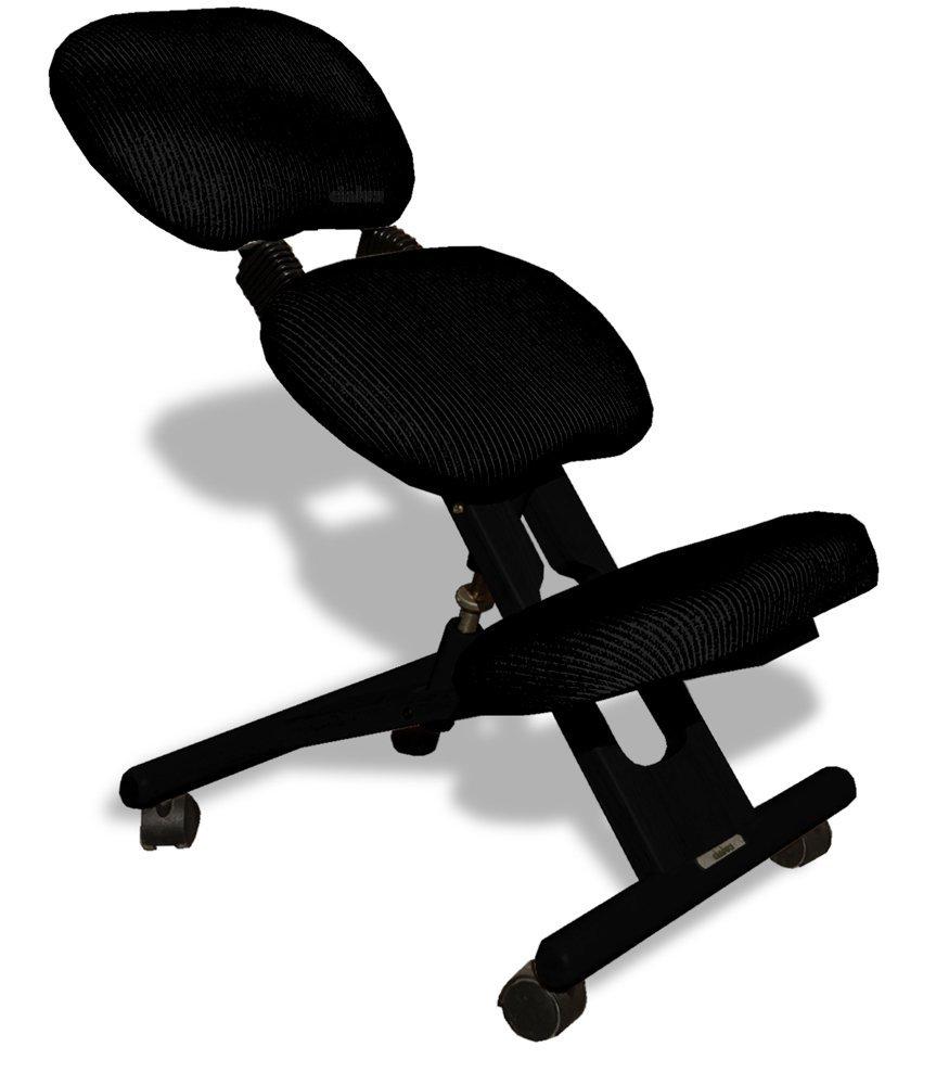 Cinius cinius Ergonomic Chair with Backrest, Black
