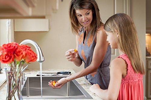 FRANKE Franke HF3322-2 Vector 33" Dual Mount Double Bowl 2-Hole Kitchen Sink, Stainless Steel