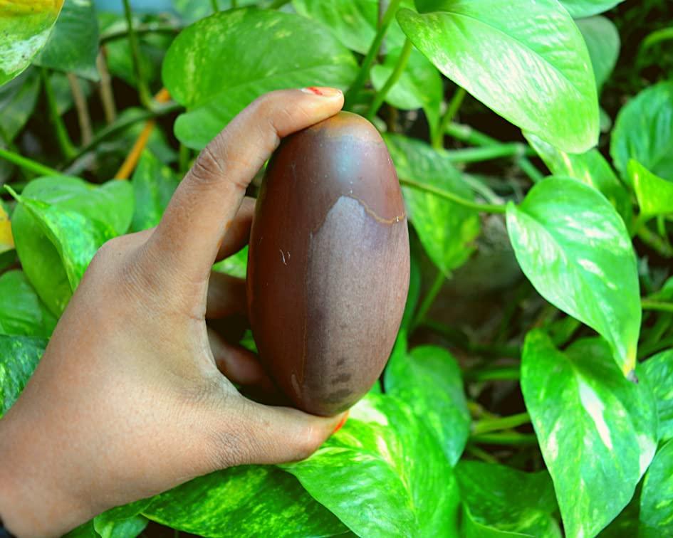 Shiva Lingam Shop Shiva Lingam Stone ~I-5700