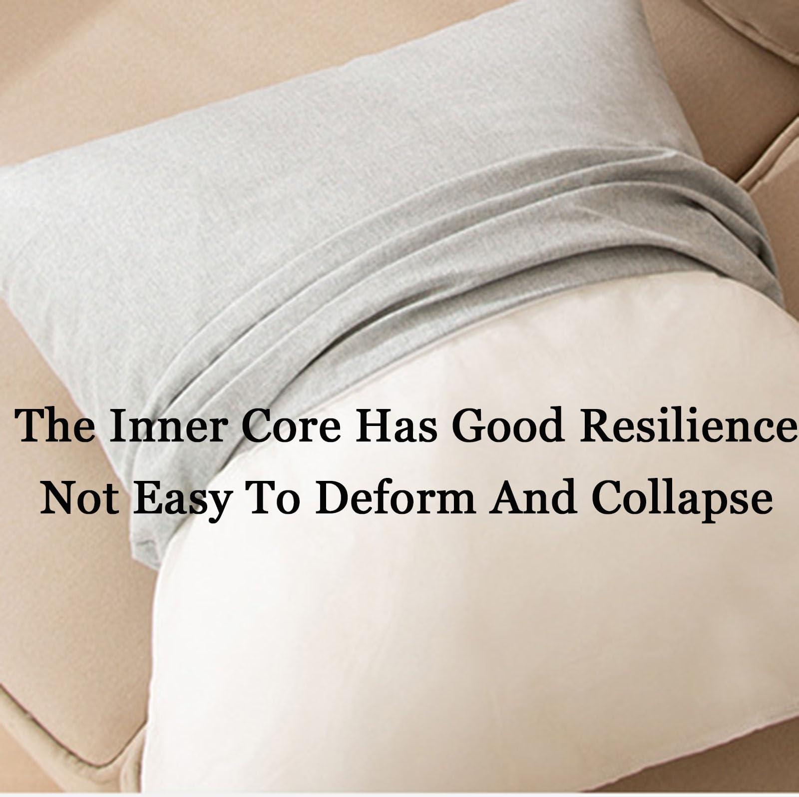 ZTGL ZTGL Lumbar Support Pillow Back Support Pillow Chair Pillow Desk Chair Back Cushion, for Chair Car Office Chair Seat Back Pain Back Rest,I,40x40x13cm(6PCS)