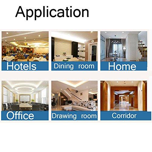 Rysa Light 4-Pack Warm White Par20 LED Bulb 7W (50W Equivalent) Dimmable 3000K Glow 40 Degree Beam Angle Flood Light Bulb Medium Base E26 UL-Listed