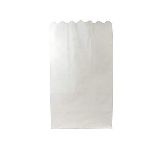 Quasimoon Quasimoon PaperLanternStore.com White Paper Luminaries/Luminary Lantern Bags Path Lighting (10 Pack)