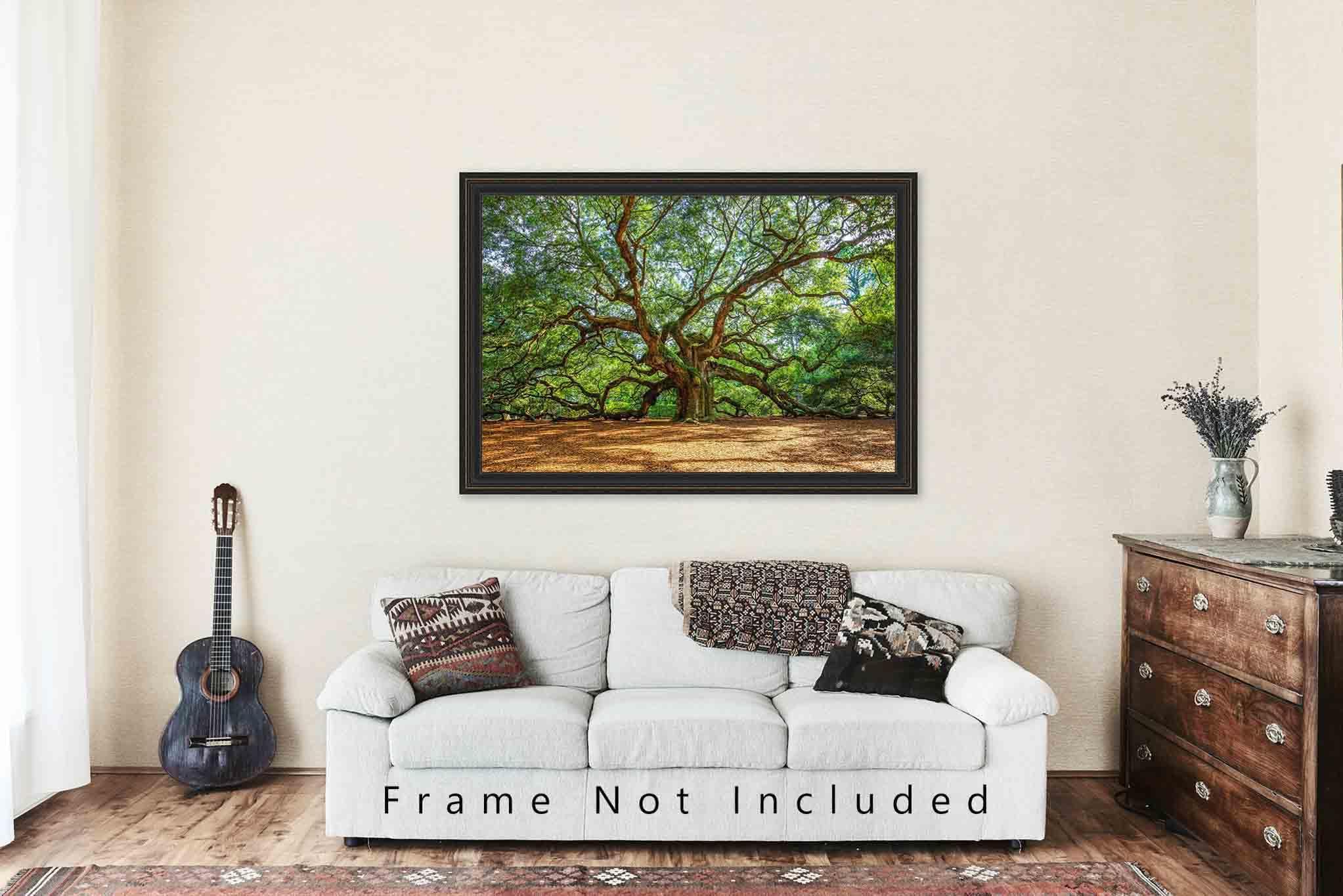 Southern Plains Photography Nature Photography Print (Not Framed) Picture of Angel Oak Tree on Summer Day near Charleston South Carolina Southern Wall Art Lowcountry Decor (16\" x 24\")