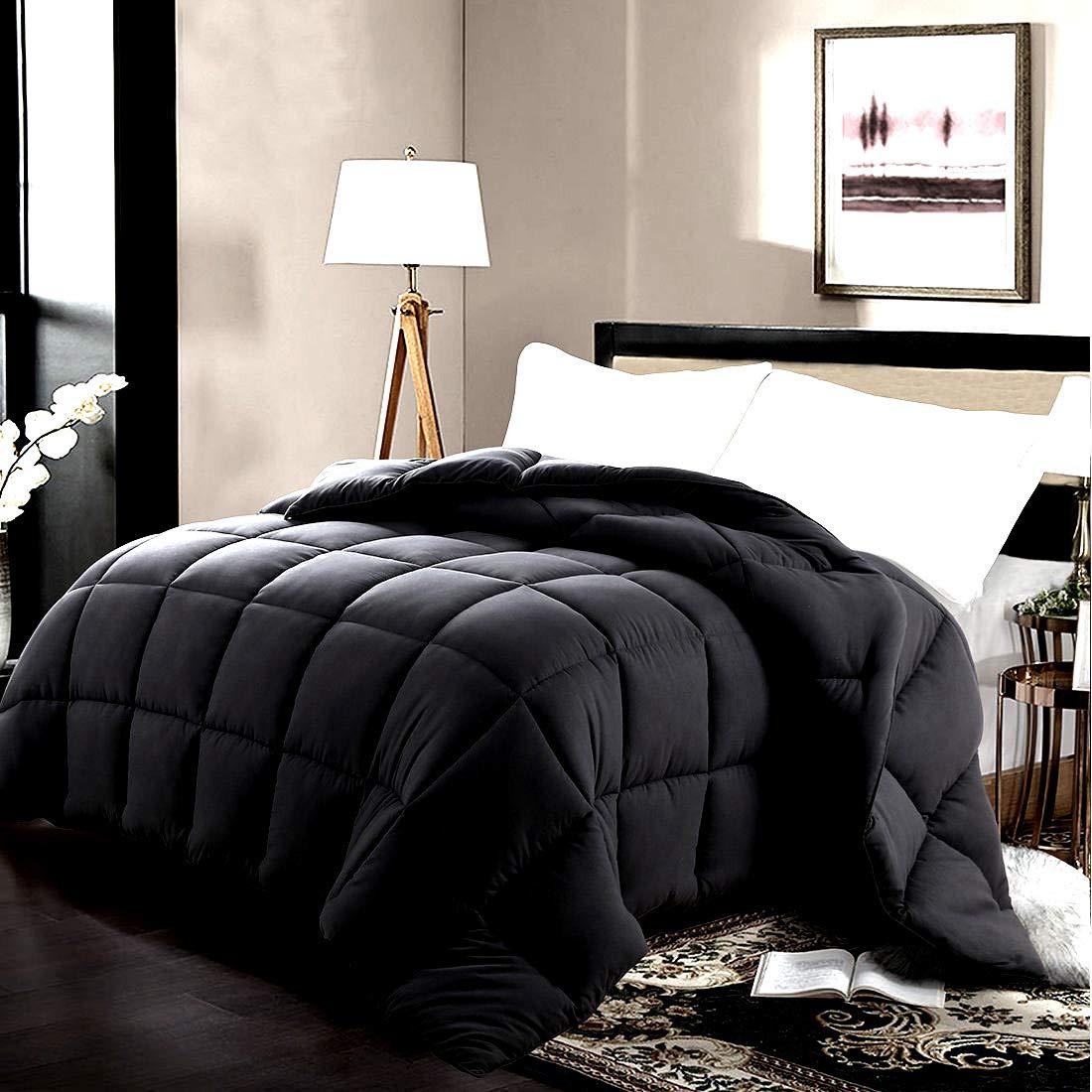 Cotton King Cotton King All Season 800 Thread Count Pure Egyptian Cotton 500 GSM 1 Piece Comforter Only, Breathable & Fluffy Goose Down Alternative Microfiber Filled King Size Black Solid