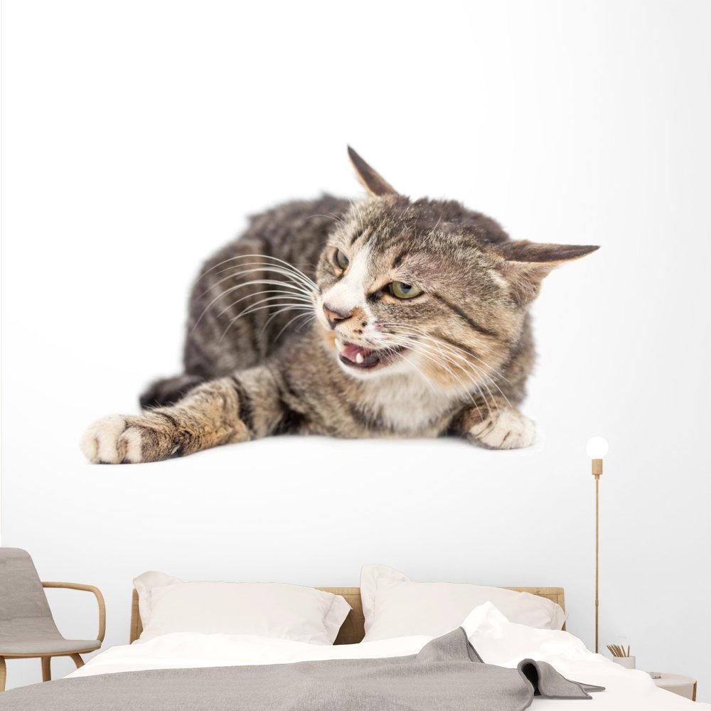 Streamlight Streamlight Stinger Smart Charger Holder with 100V/120V AC Wall Adapter Charge Cord - Intended for Use with Stinger Series Flashlights