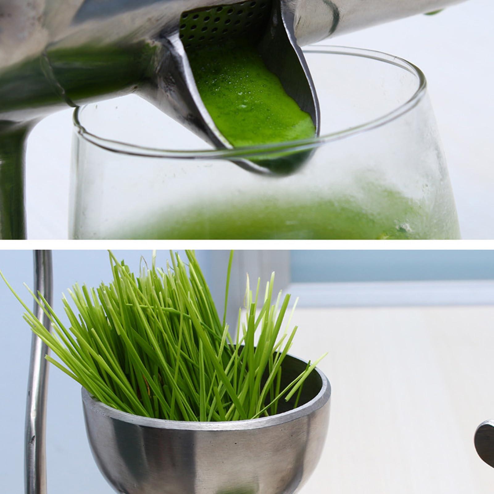 Asixxsix Asixxsix Manual Wheatgrass Juicer, Stainless Steel Manual Juicer Fruit Vegetables Squeezer Tabletop Clamp Manual Juicer Extractor for Ginger Celery Grape, Wheatgrass Grinder