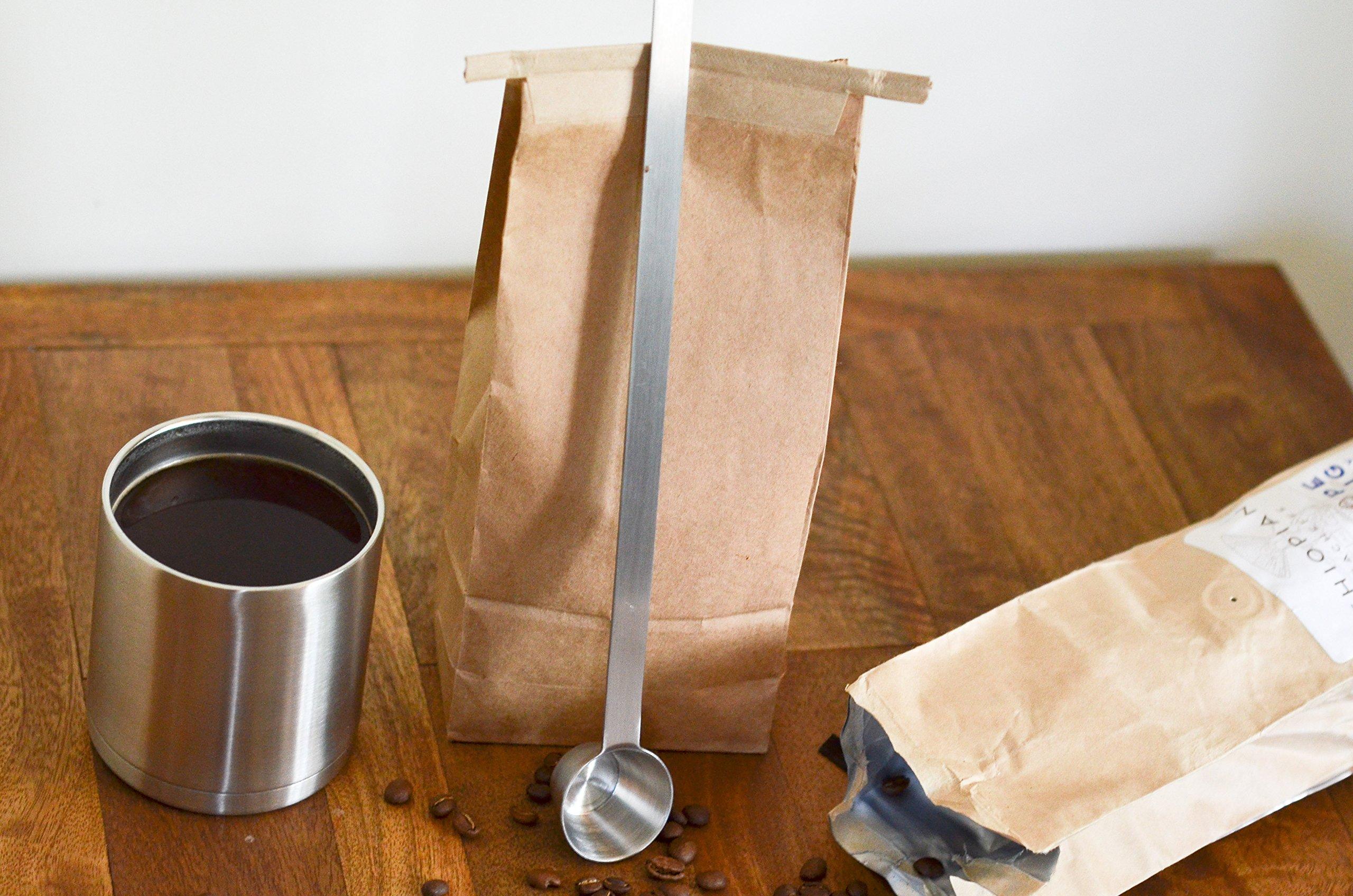 EcoSmart EcoSmart 60W Equivalent Daylight A19 Energy Star, Dimmable LED Light Bulb (8 Pack)