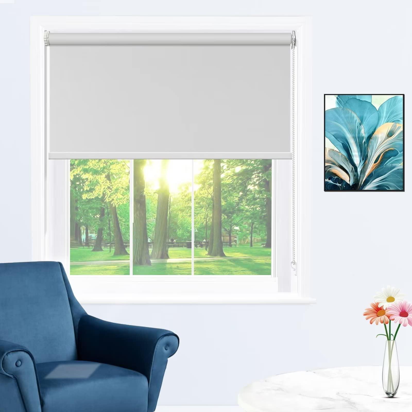 fhsblinds FHSBLINDS No Tool No Drill Window Blinds & Shades for Home Custom Roller Window Shades-Room Darkening Waterproof Blackout Blinds for Windows Kitchen Bedroom (Cool Silver 100% Blackout, 29" W x 72" H)