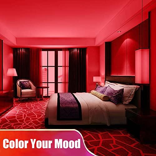 YM E-Bright EverBright Red Led Strip Lights, 5M /16.4Ft 600SMD Waterproof IP68 Flexible Led Light Strip for Undercar Lighting Kits House Bedroom Kitchen TV Party Light Decoration with 5A Power Adapter