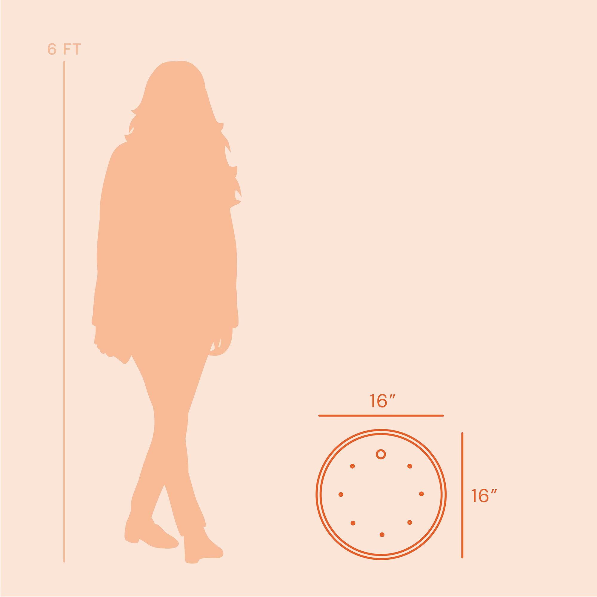 Rush Creek Designs Bloem Ups-A-Daisy Round Planter Insert: 16\" - Orange - Durable Resin Disk, Drainage Holes, Place Inside A Planter, Use Less Potting Soil, for Indoor & Outdoor Use, Gardening