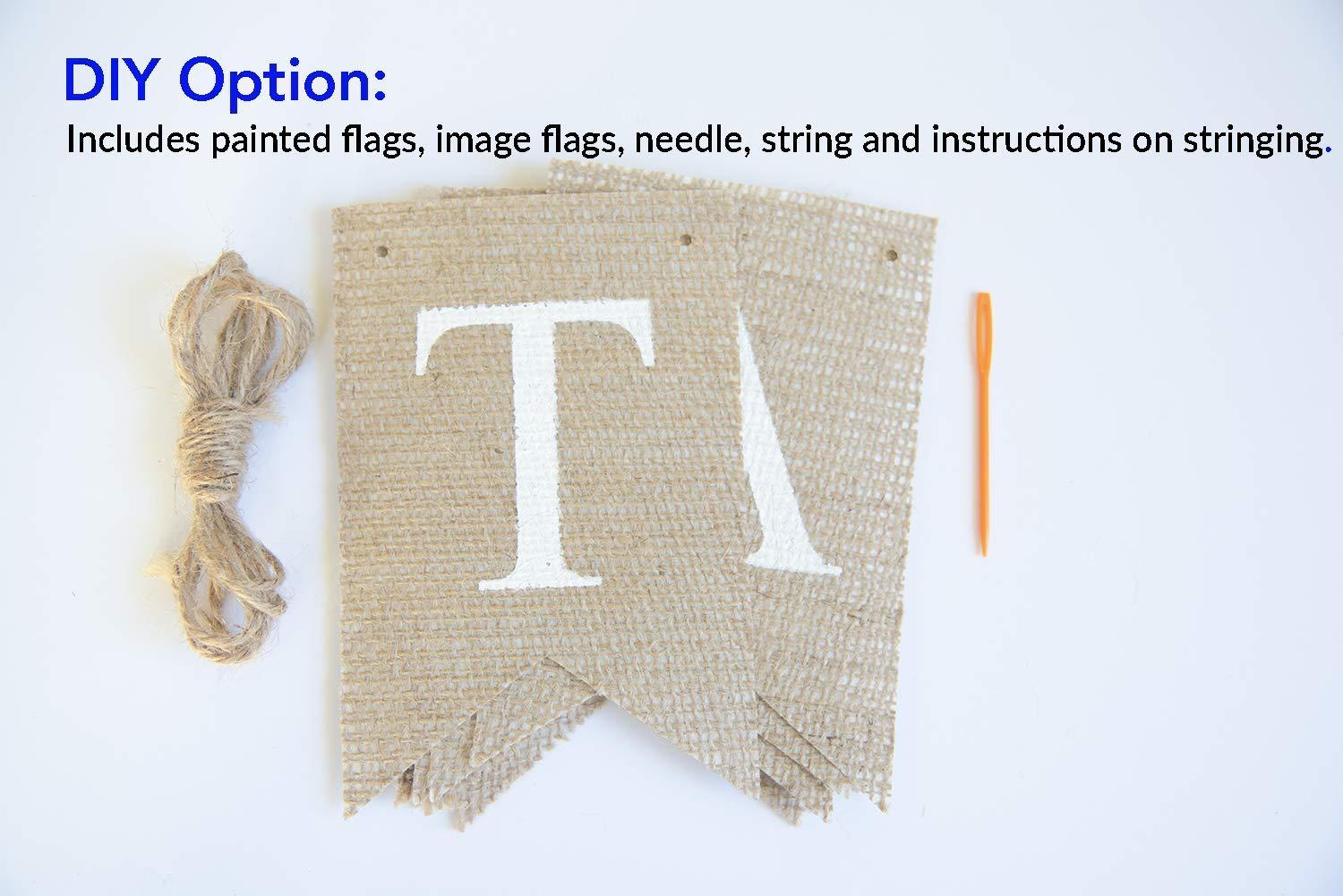 Swanky Party Box Swanky Party Box | Pink Some Bunny Is Two Banner | Easter Second Birthday Party Decor