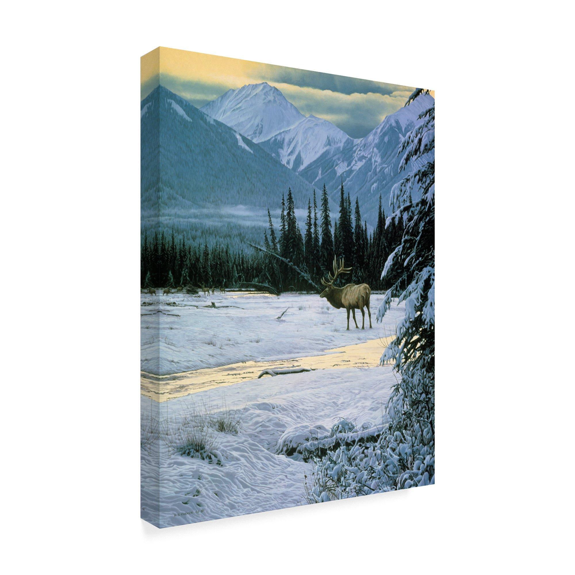 Trademark Fine Art Yellow Dawn American Elk by Ron Parker, 35x47-Inch