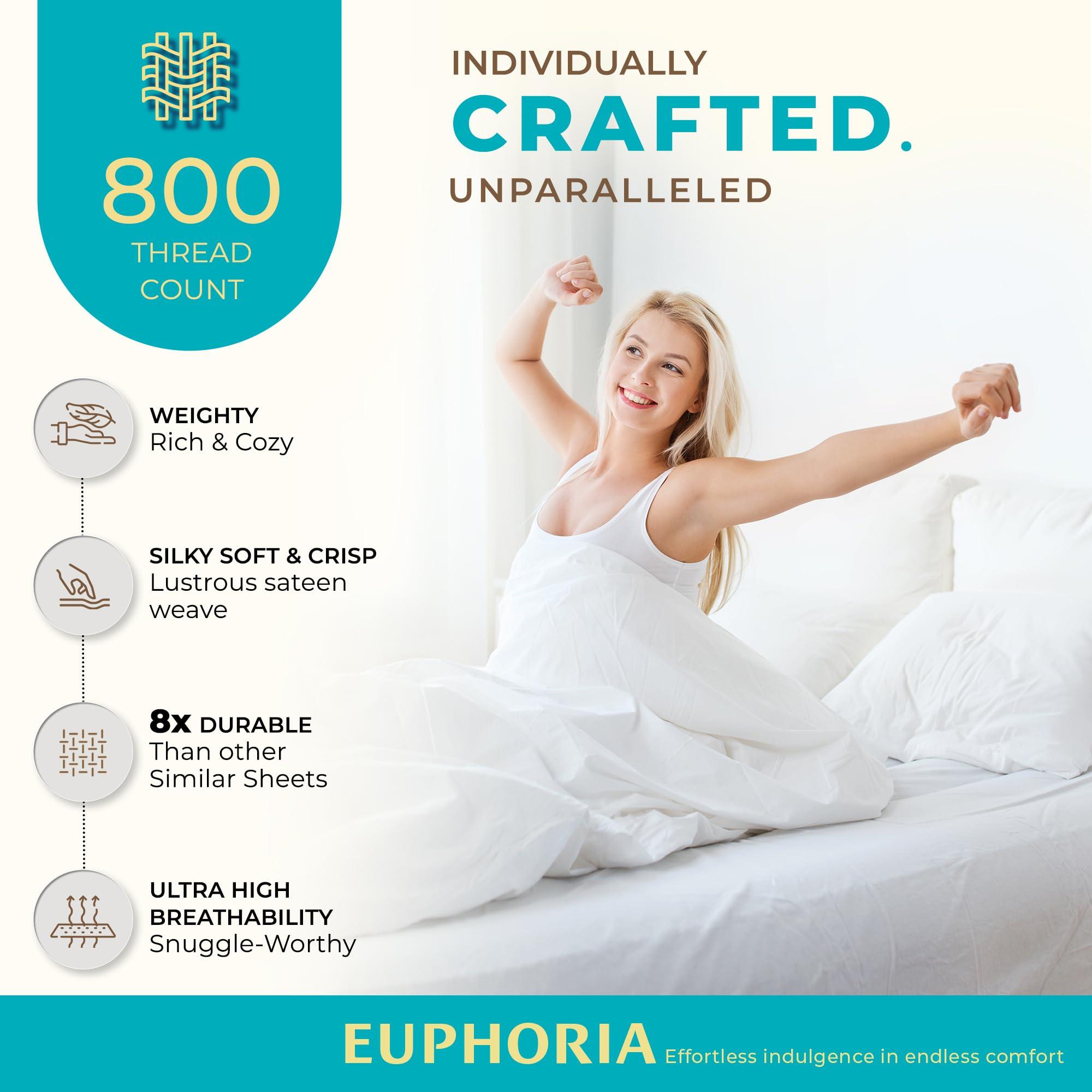 THREAD SPREAD THREAD SPREAD 100% Egyptian Cotton Sheets Queen Size - 800 High Thread Count Sheets Queen, 4 Piece Luxury Hotel Sheets for Queen Size Bed, 16\" Deep Pocket Soft Sateen Cooling Bedding Sets (Light Blue)