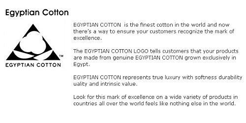 Crown Collection Crown Royal Hotel Collection 800 Thread Count Egyptian Cotton Full Size 6 Piece Sheet Set 24\'\' Inch Deep Pocket Fitted Sheet Burgundy Solid