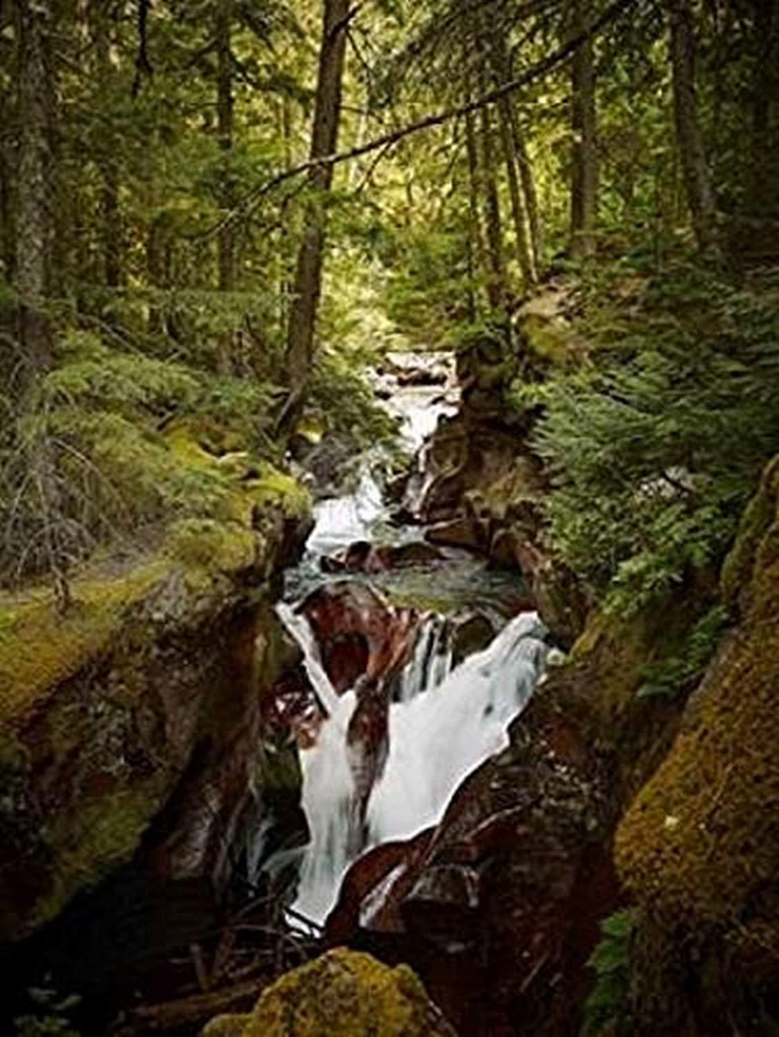 Posterazzi Posterazzi Avalanche Creek Poster Print by John Stalowy, (18 x 24)