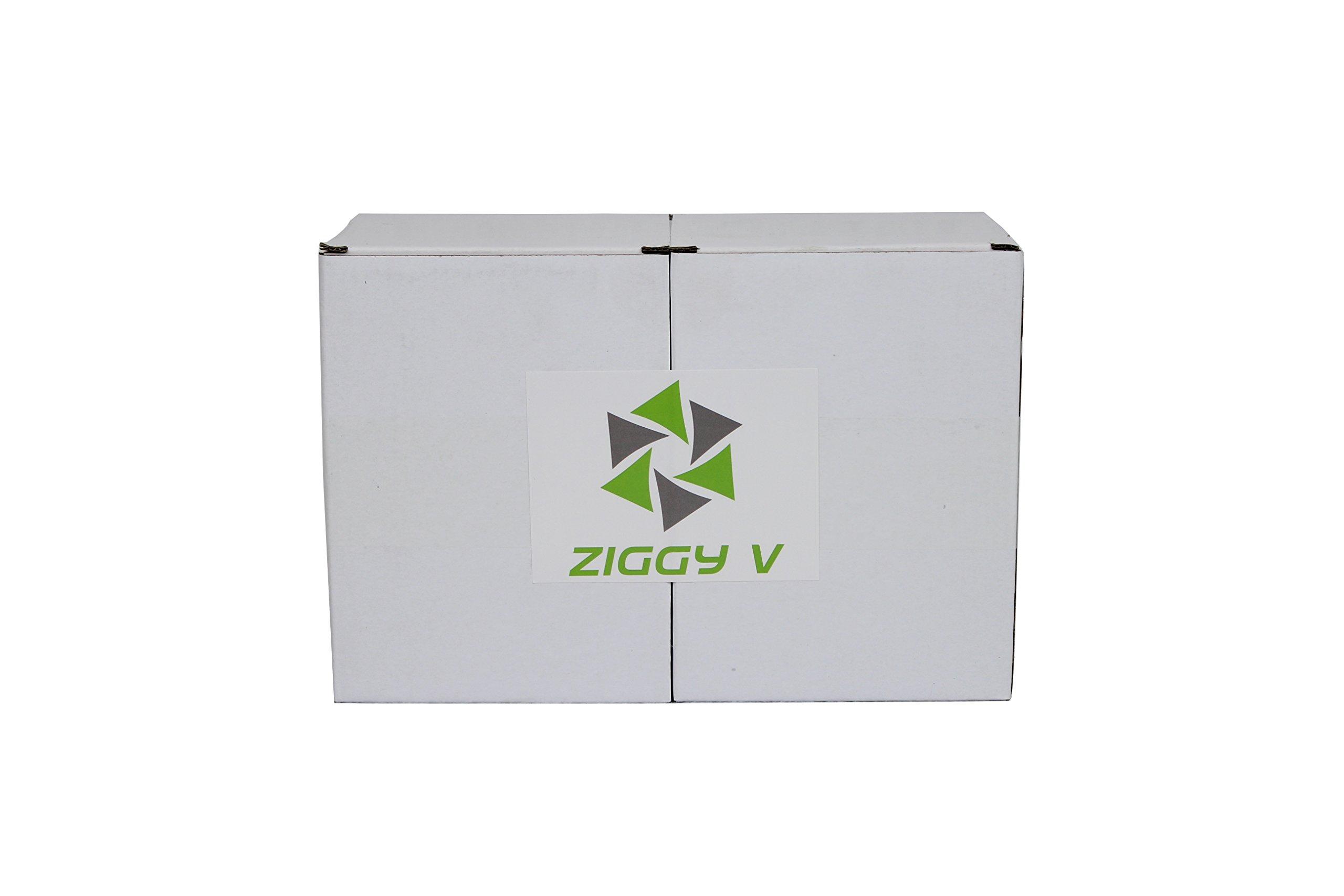 Ziggy V Freezer Mugs Double Wall Gel Frosty Freezer Mugs, Cups Drinking Glass Beer Ice Mugs for Freezer Beer Mugs with Handle 16oz Freezable Beer Mug (2)