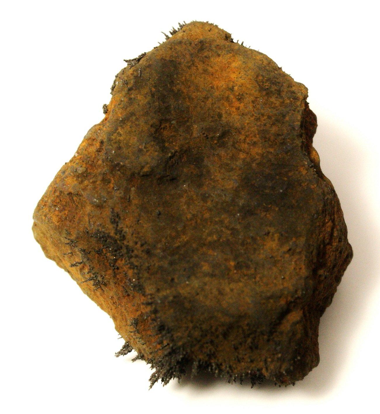 OnlineScienceMall Large Lodestone Rock Naturally Occurring Magnet 1.5 - 2.5 Inch