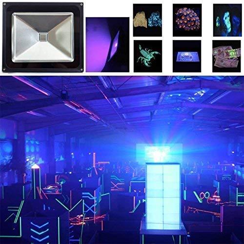 HouLight UV LED Black Light, HouLight High Power 10W LED Black Light Flood Light IP65-Waterproof (85V-265V AC) for Blacklight Party Supplies, Neon Glow, Glow in The Dark, Birthdays, Blacklights, Curing