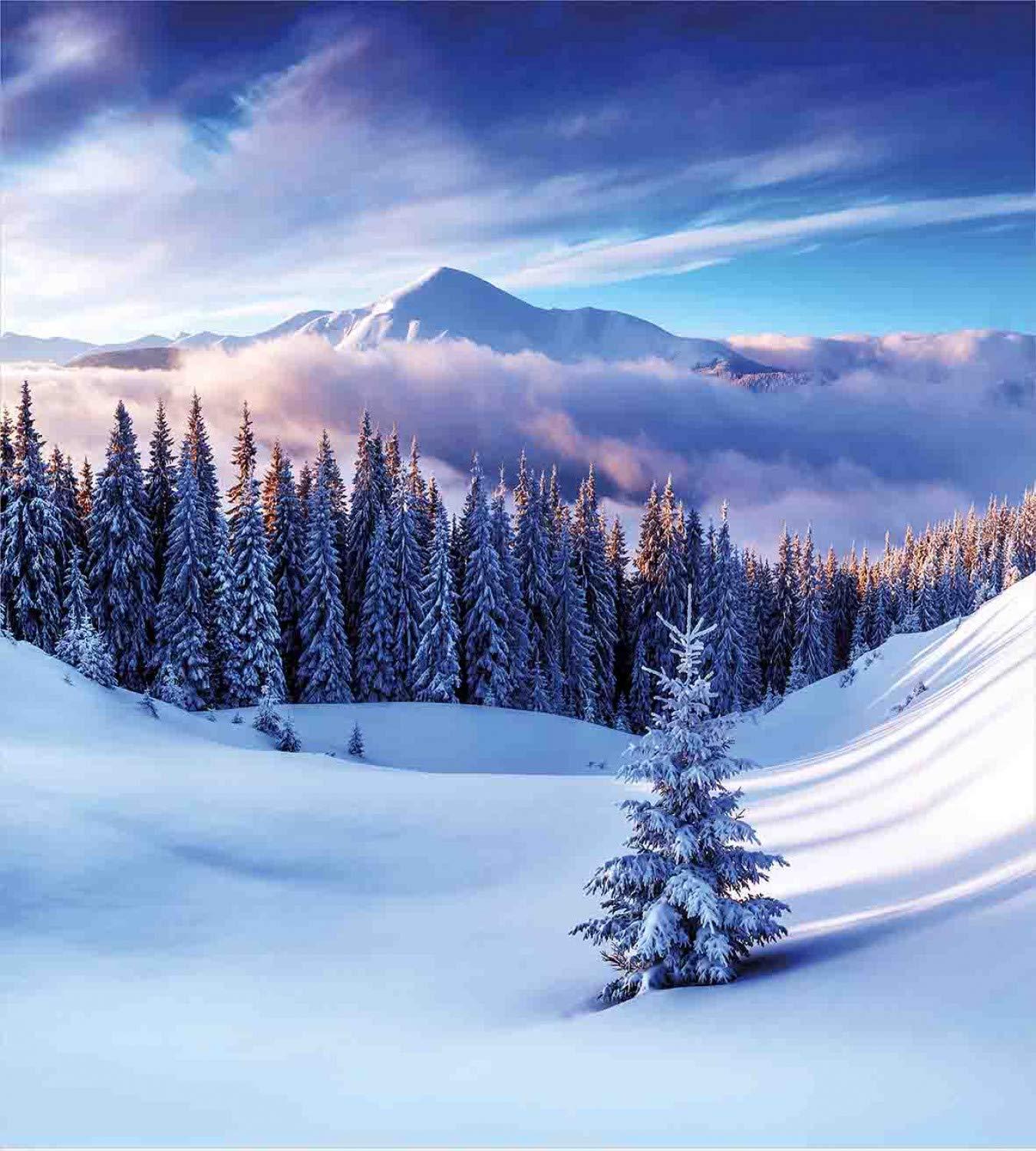 Sunbeam Sunbeam Heated Throw Blanket (Navy Plaid)