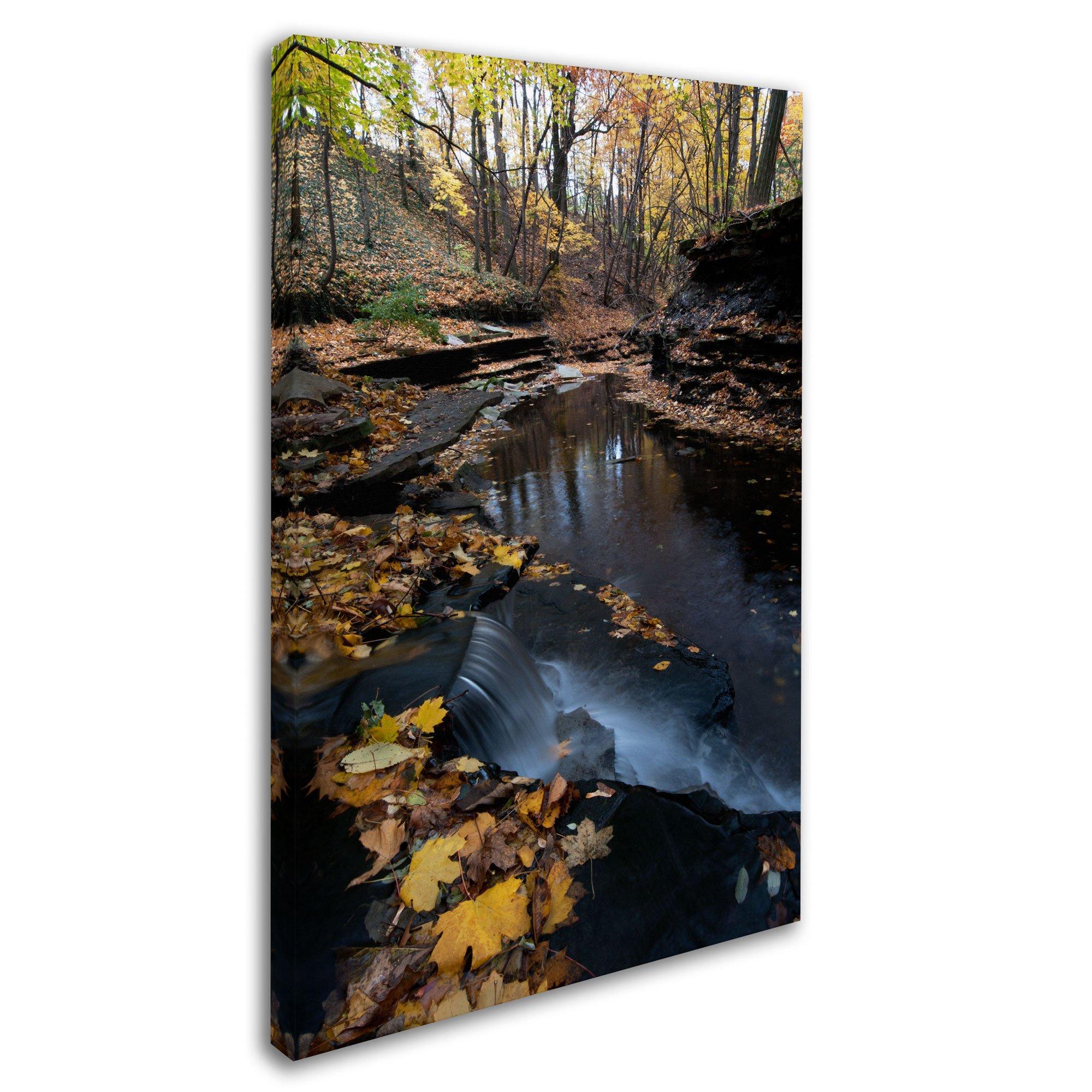 GET G.E.T. B-792-OR/BK Angled Cascading Serving Bowl for Salads, Rice and Dessert, 24 Ounce / 9.25\", Orange/Black, 1 Count (Pack of 1)