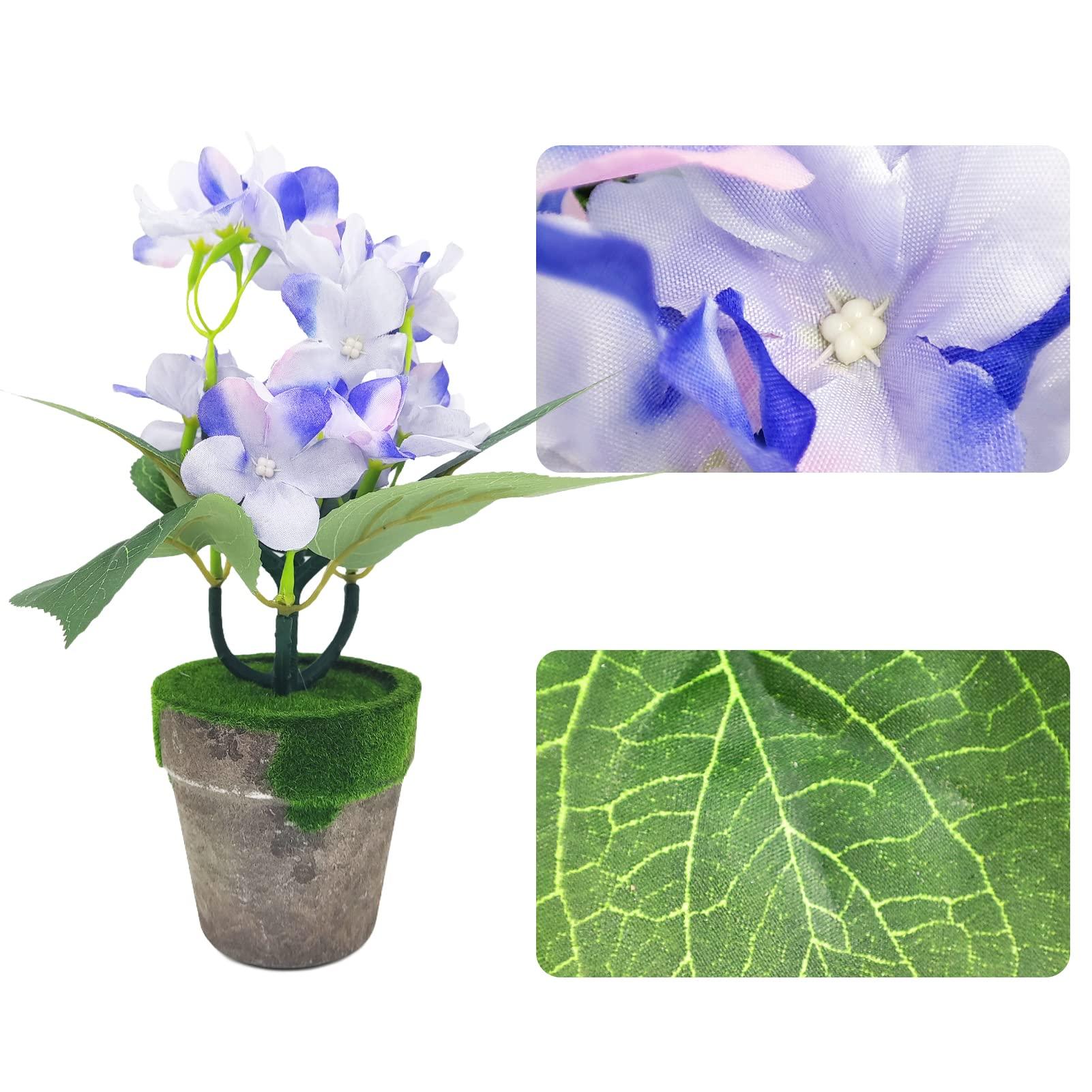 Hallmark Keepsake Hallmark Keepsake Christmas Ornament 2023, The Wizard of Oz Ornament, Under the Poppies\' Spell, Dorothy Gifts