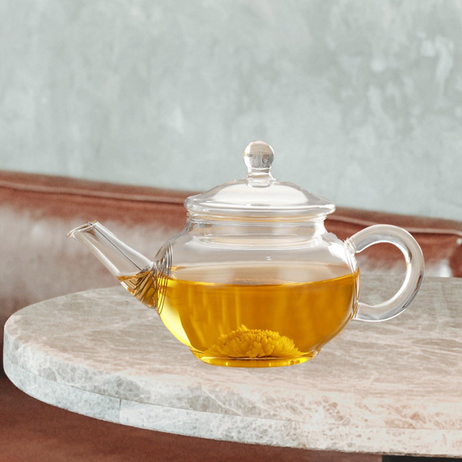 Garneck Garneck Tea Kettle with Infuser Glass Tea Kettle,borosilicate Glass Teapot with Infuser Blooming Tea Teapot Teapot Clear Glass Kettle with Strainer