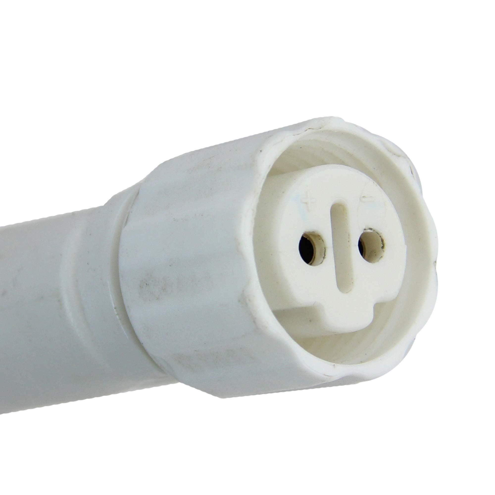 Northlight LED Commercial Grade Neon Style Flexible Christmas Rope Lights - 50\' - Red