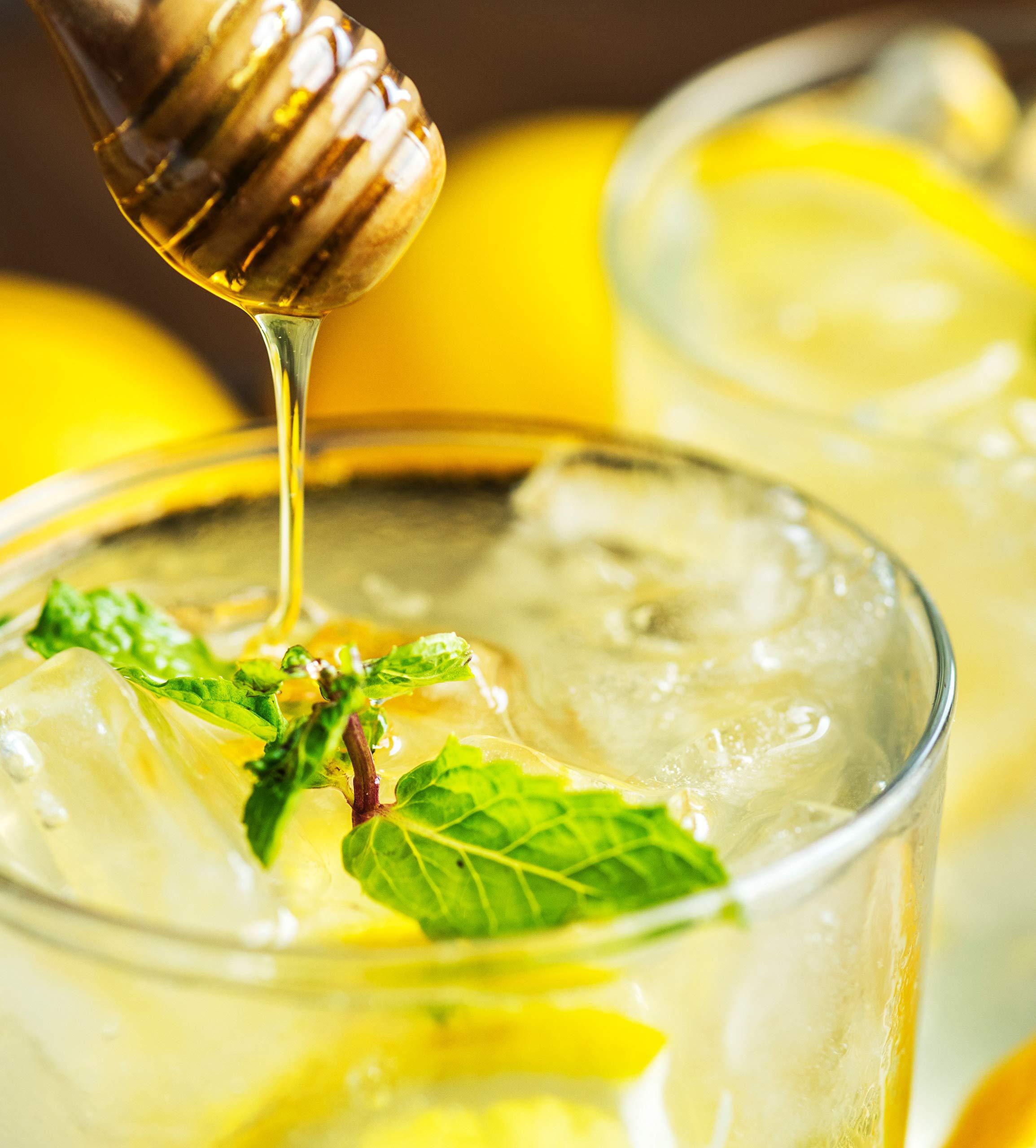 Harbor House Harbor House Cozy Cotton Comforter Set - Coastal, All Season Down Alternative Casual Bedding with Matching Shams, Decorative Pillows, Beach House, Reversible Seashell Blue Twin(72"x90") 3 Piece