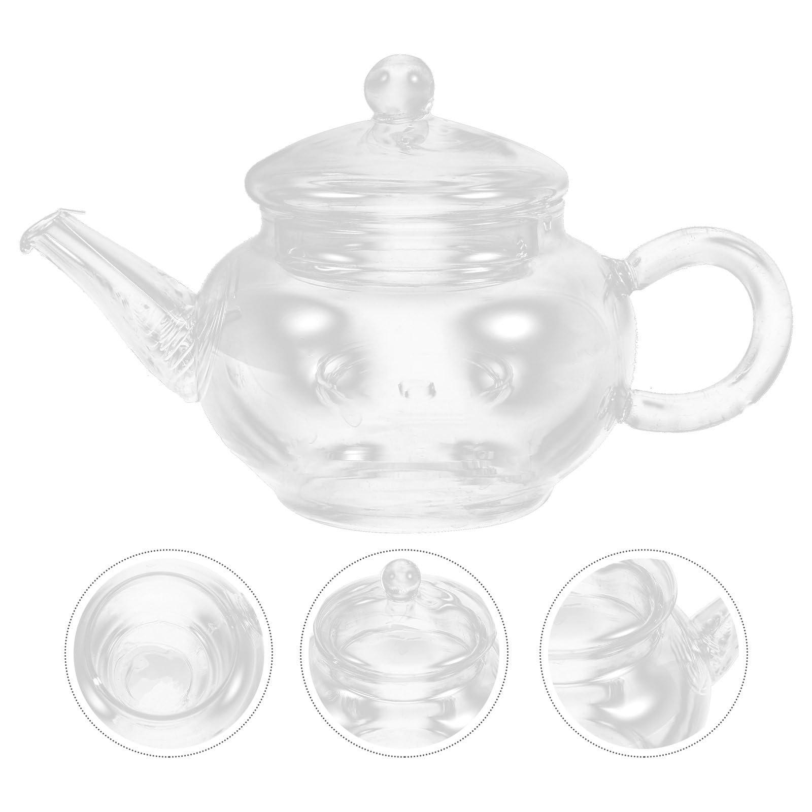 Garneck Garneck Tea Kettle with Infuser Glass Tea Kettle,borosilicate Glass Teapot with Infuser Blooming Tea Teapot Teapot Clear Glass Kettle with Strainer