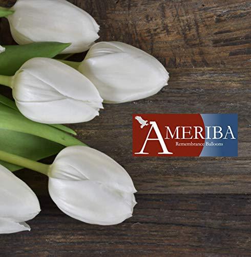 AMERIBA 30PC Biodegradable Remembrance Balloons: White & Silver Personalizable Funeral Balloons for Balloon Releases & Sympathy Gifts | Created/Sold by AMERIBA, a USA company (Variety Pk White, Black Writing)