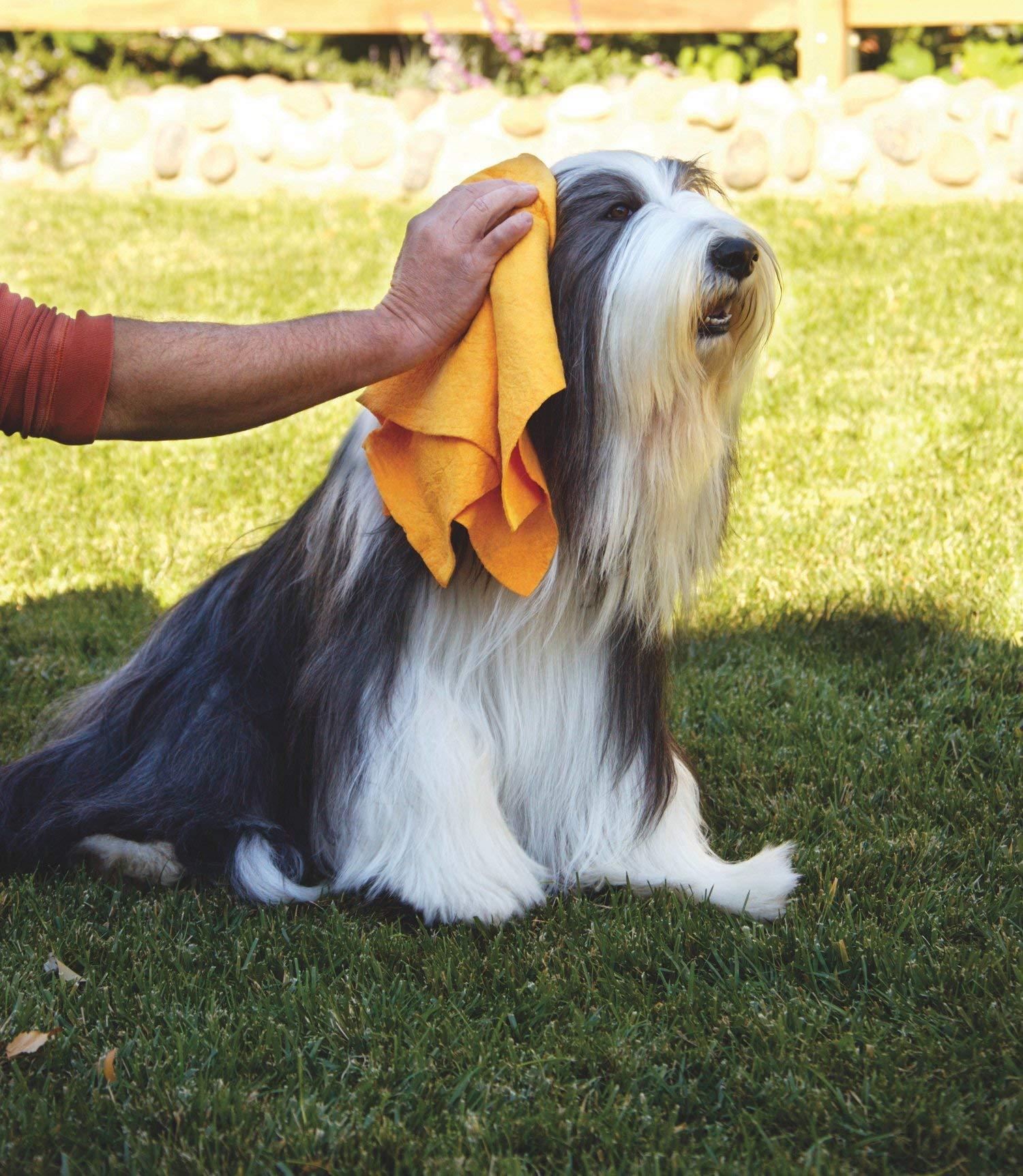 ShamWow ShamWow Original Super Absorbent Multi-Purpose Cleaning Shammy Chamois Towel Cloth - Holds 10X its Weight in Liquid - Machine Washable - Will Not Scratch (4 Pack, Orange)