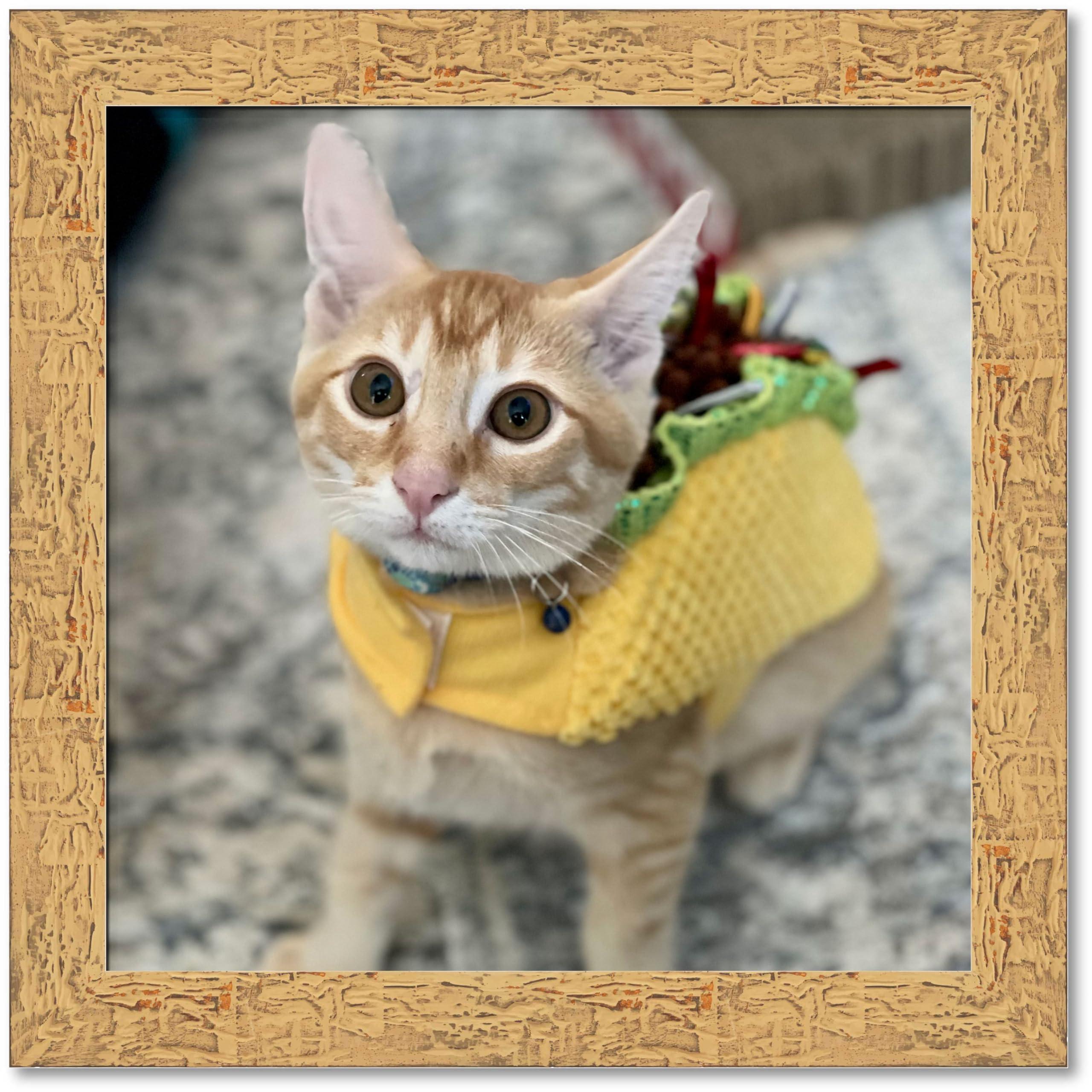 CustomPictureFrames.com 22x20 Frame Beige Shabby Chic Solid Wood Picture Frame | 1.25 Inch Moulding Width | Interior Frame Depth 0.5 Inches | Mastic Distressed Photo Frame Complete with UV Acrylic, Foam Board Backing &