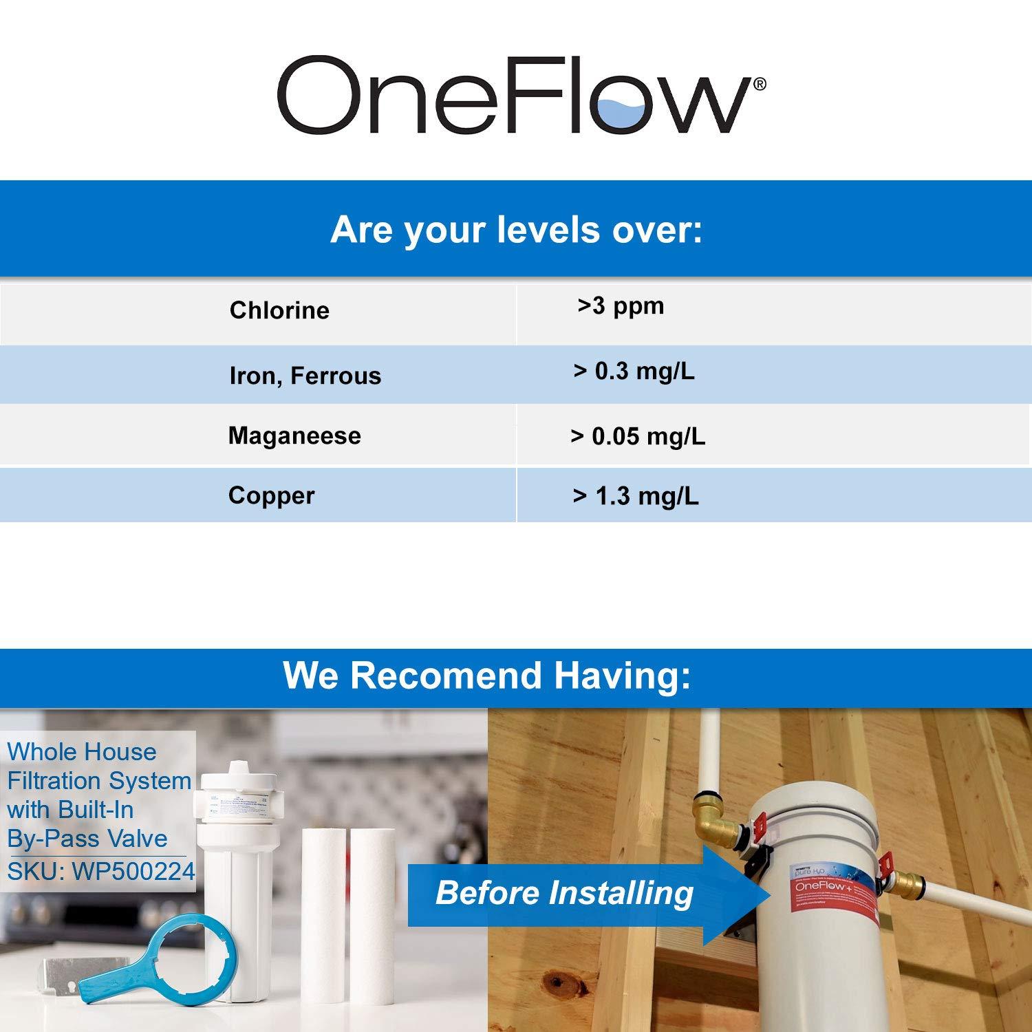 Watts Premier Watts OFPSYS OneFlow Plus Salt-Free Scale Prevention and Water Filtration System, Carbon Water Filter, Scale Reduction Cartridge, 1\" NPT Inlet and Outlet Connections