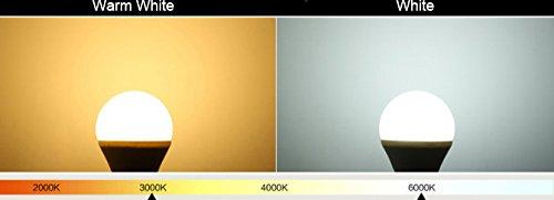 Bulbright LED Light Bulb A19 9W (60W Equivalent), 4000K Neutral White, 830 Lumens, Medium Screw Base E26, Standard Light Bulb (4000K-Neutral White, Pack of 3)