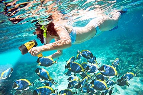 STANLEY STANLEY FATMAX FL5W10 Rechargeable 520 Lumen Lithium Ion Waterproof LED Spotlight Flashlight