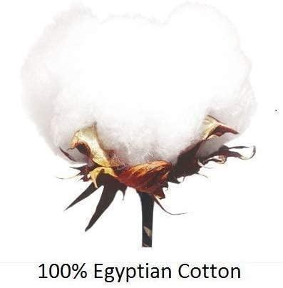 iRobot iRobot Roomba 671 Wi-Fi Connected Robot Vacuum