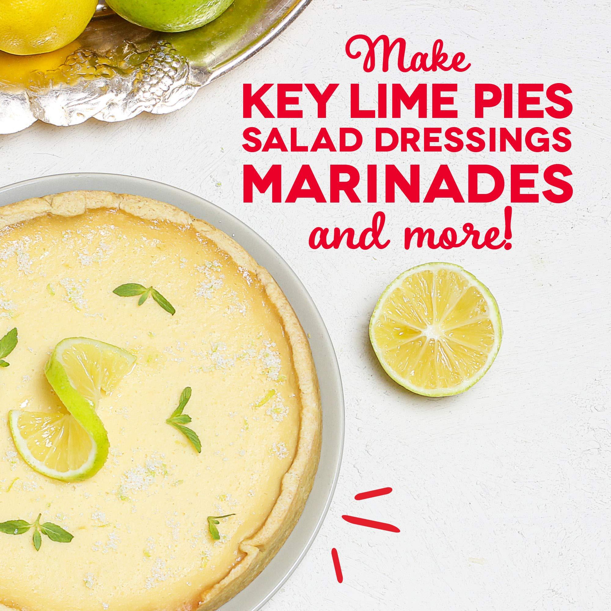 DASH DASH Citrus Juicer, Dual Citrus Cones, 20 fl. oz. Capacity, 25 Watts