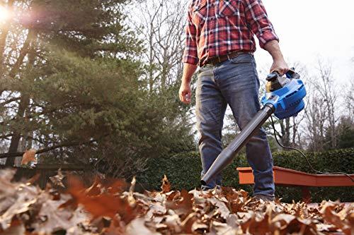 Vacmaster Vacmaster VBV1210, 12-Gallon* 5 Peak HP** Wet/Dry Shop Vacuum with Detachable Blower, Blue