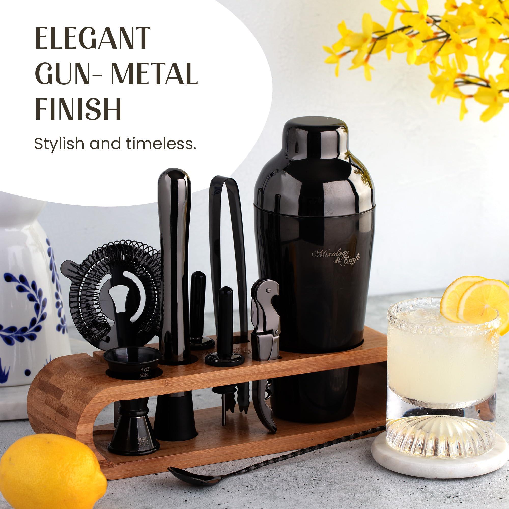 Mixology & Craft Mixology & Craft Bartender Kit: 10-Piece Bar Tool Set with Bamboo Stand | Perfect Home Bartending Kit and Martini Cocktail Shaker Set Great Drink Mixing Experience | Fun Housewarming Gift (Gun-Metal)
