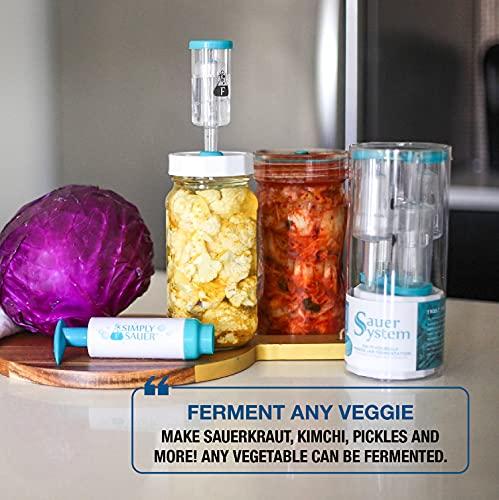 Fermentology Fermentology Sauer System Fermentation Airlocks – Lids, Grommets, Gaskets, Stoppers – for Regular Mouth Mason Jars – 4 Pack