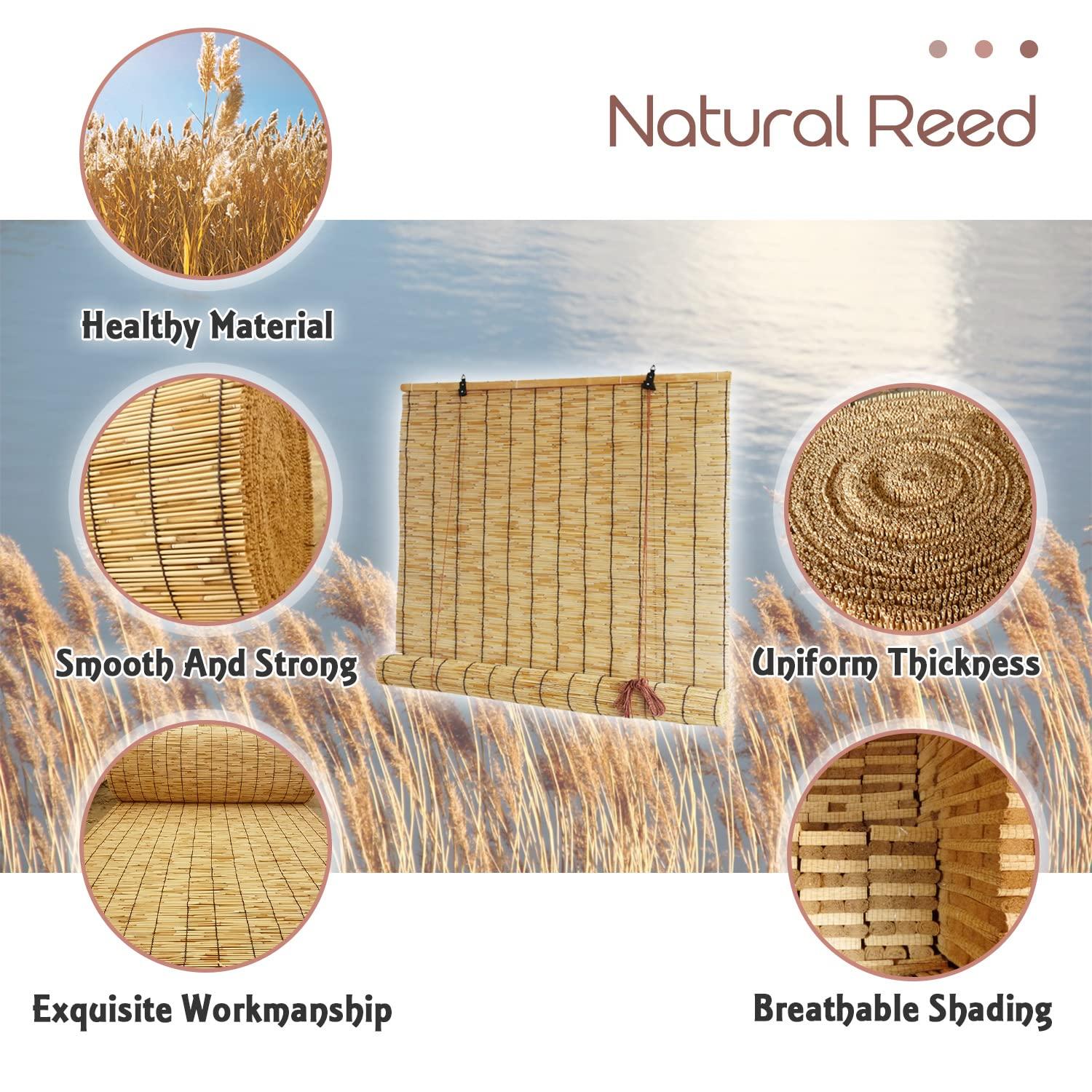 Lsjoaw Lsjoaw Roll Up Reed Shade 72x72in (WxH)/183x183CM Outdoor Bamboo Shades Blinds Patio Blinds Roman Roller Blinds Curtain with Lifter Porch Window Privacy Natural White Line