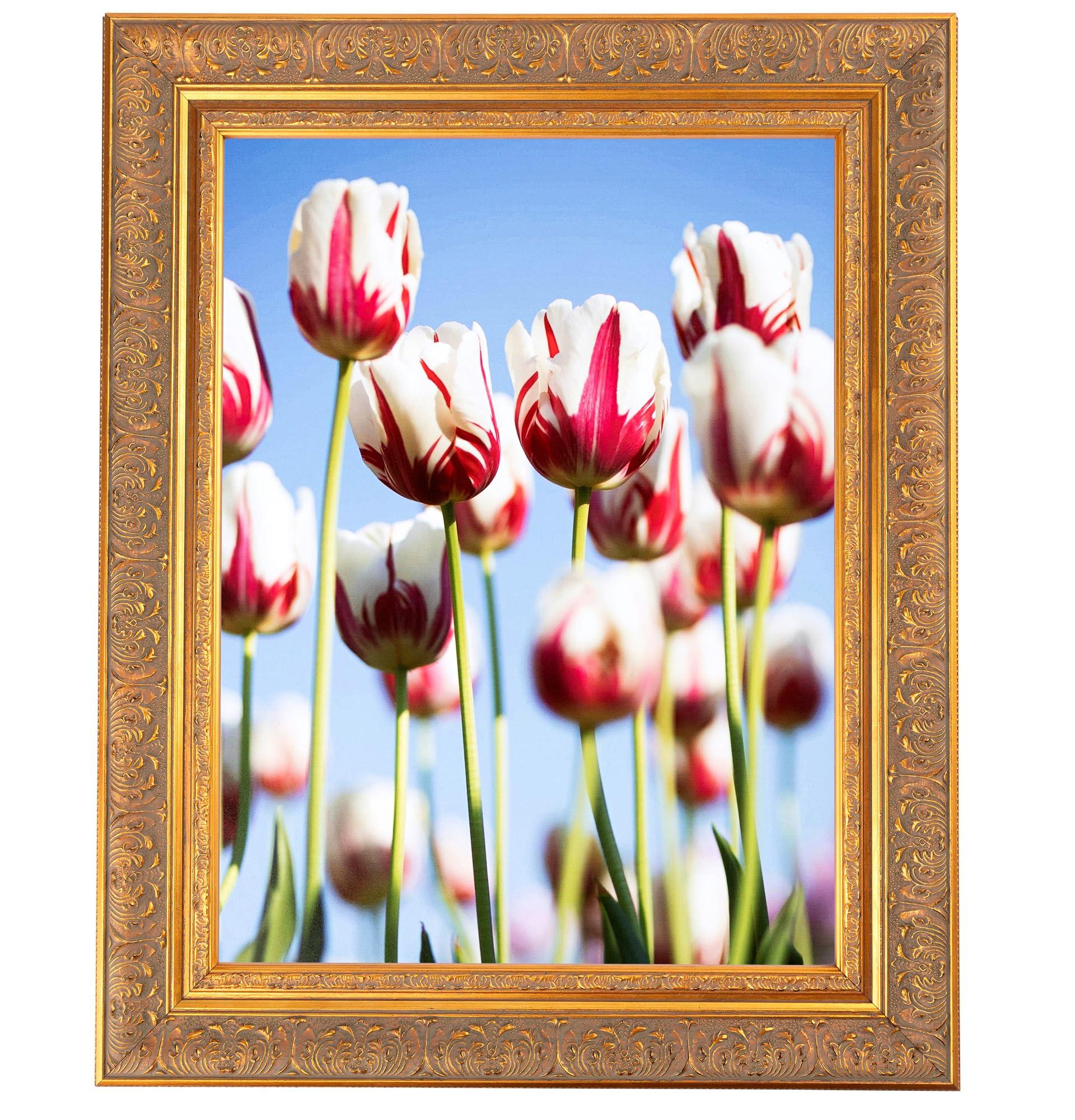 ArtToFrames ArtToFrames 4x16 Inch Multi Picture Frame, This 2.25 Inch Custom Wood Poster Frame is Wide Gold with Green Tones - Comes with Regular Glass and Corrugated Backing (2WOMOM78998-4x16)