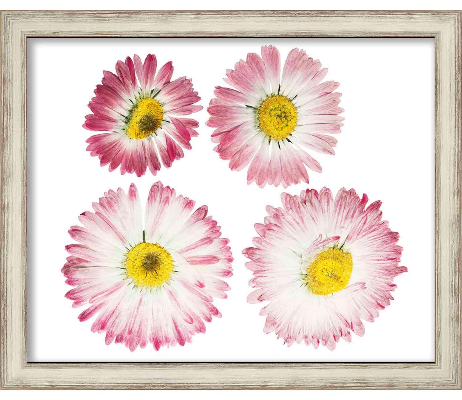 Poster Palooza 12x18 Silver Shadowbox Frame - Shadow Box Frame Interior Size 12x18 x 1.25 Inches Deep - Silver Frame Can Display Items Up to 1.25 Inches Deep! Includes Shatter Resistant Acrylic, Backing, Hardware