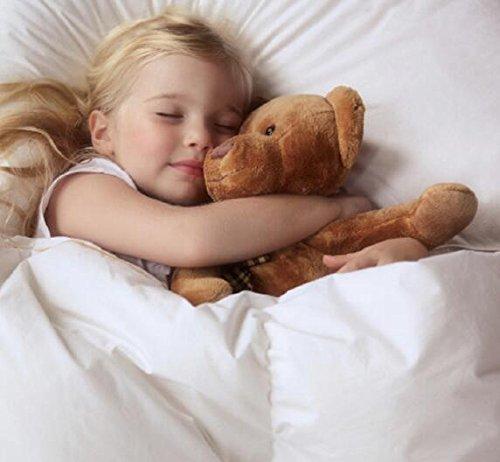 ROSE FEATHER Toddler/Travel/Crib Goose Down Comforter Duvet/Blanket Multifunctional,100% Organic Cotton Washable Unisex Kids,All Season,White 33x43