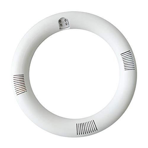 iledlight T9 LED Circline Light Bulb, 8 Inch 1600LM LED Circular Light, 13W Clear Cover 6000K Daylight Replacement for FC8T9/CW 22-Watt Fluorescent Circular Bulb(FC8T9/CW), Ballast Bypass Required